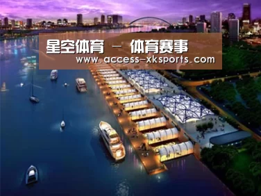 案例展示八
