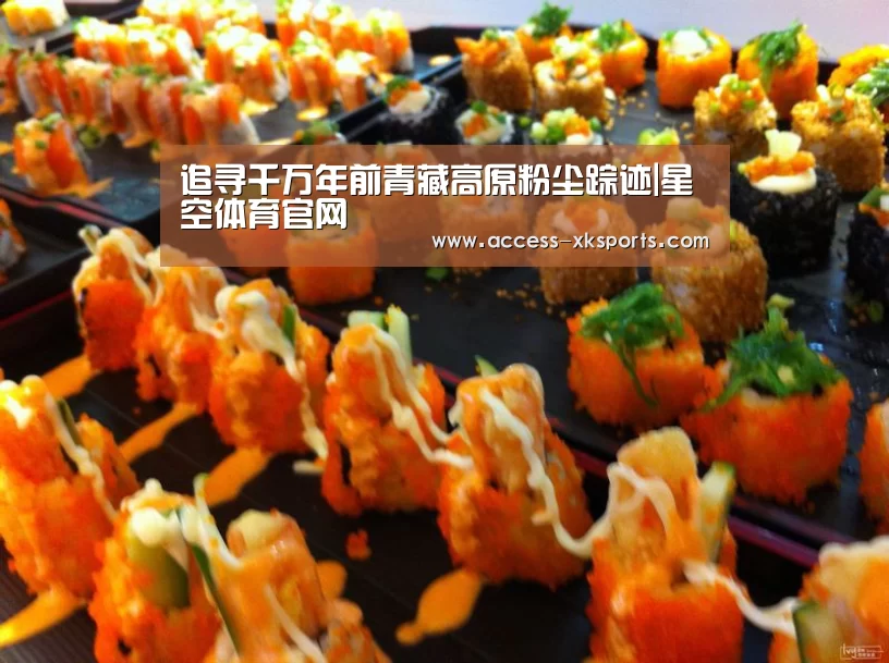 追寻千万年前青藏高原粉尘踪迹|星空体育官网(图1) 星空体育官网