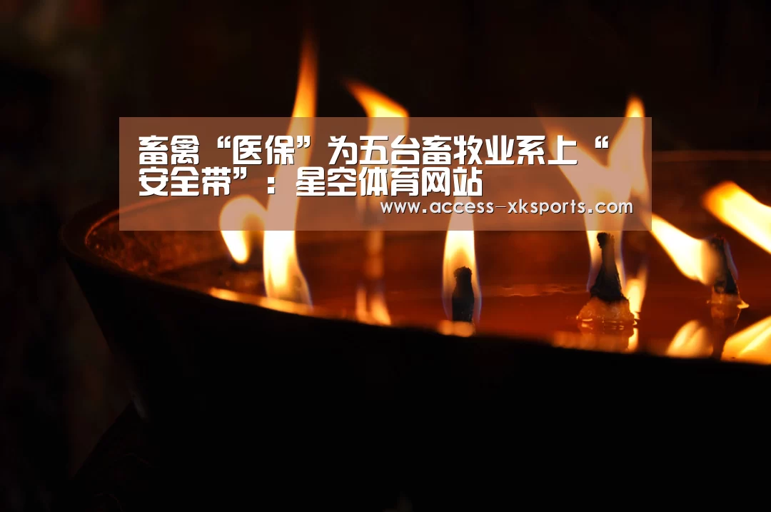 畜禽“医保”为五台畜牧业系上“安全带”:星空体育网站(图1) 星空体育官网