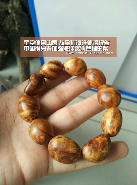 星空体育官网