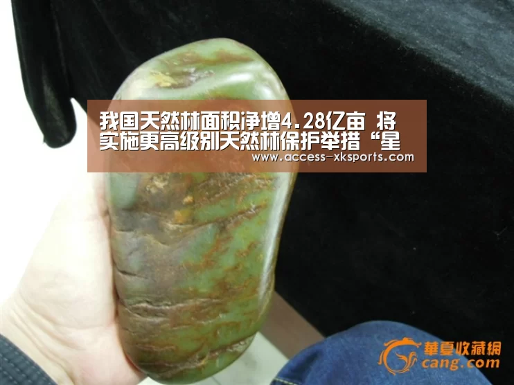 我国天然林面积净增4.28亿亩 将实施更高级别天然林保护举措“星空体育官网”(图1) 星空体育中国