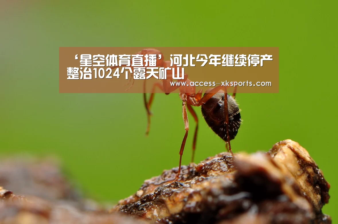 ‘星空体育直播’河北今年继续停产整治1024个露天矿山(图1) 星空体育网站