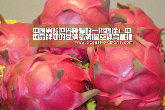中国男篮世界杯输的一塌糊涂!中国品牌赚的盆满钵满|星空体育直播(图3) 星空体育中国