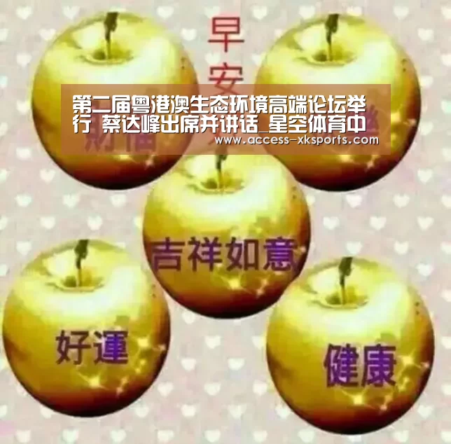 星空体育官网